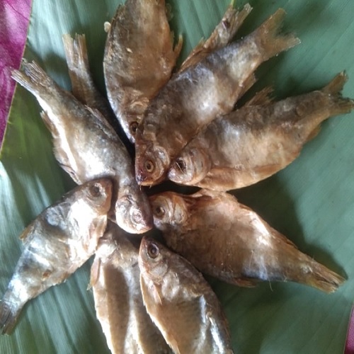 Puthi Shidol Big (4-7 cms) 