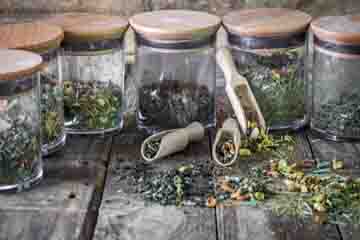 Assam Tea