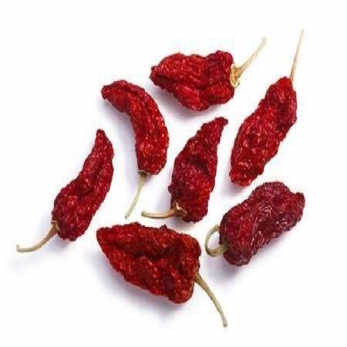 Bhut Jolokia