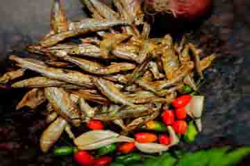 Dry Fish