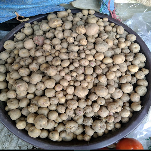 Small Potato (Kutti Aloo)