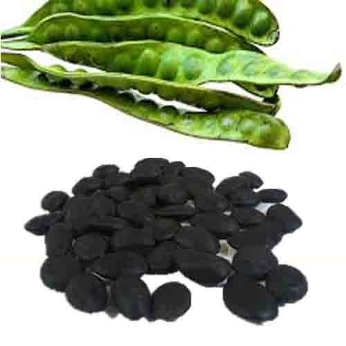 Petai (Dry Yongchak)Seeds